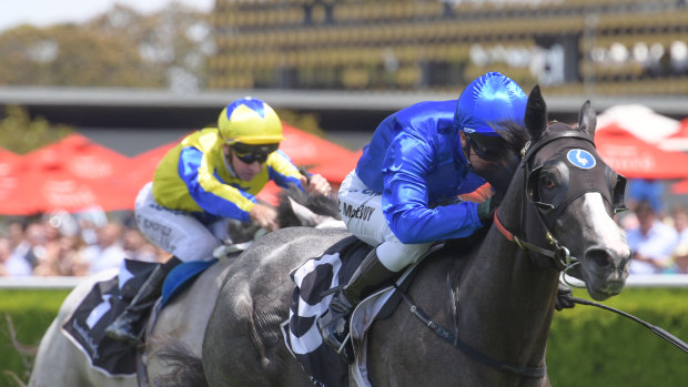 Picture perfect: Kerrin McEvoy pushes Tenley to the line in the Pierro Plate.