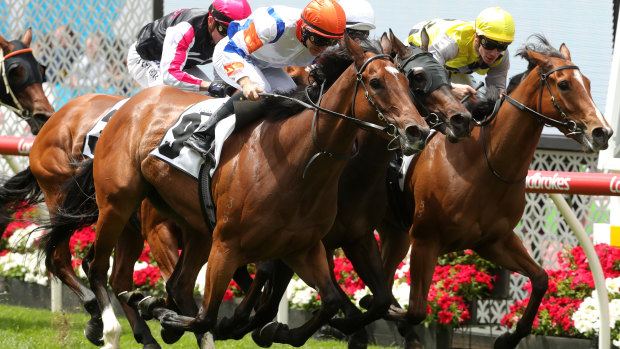 You beauty: Jockey Luke Currie rides Beauty to win Race 4 on Cox Plate Day at Moonee Valley Racecourse.