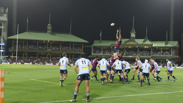 Hallowed turf: Saturday's Super Rugby match tore the SCG turf to shreds.