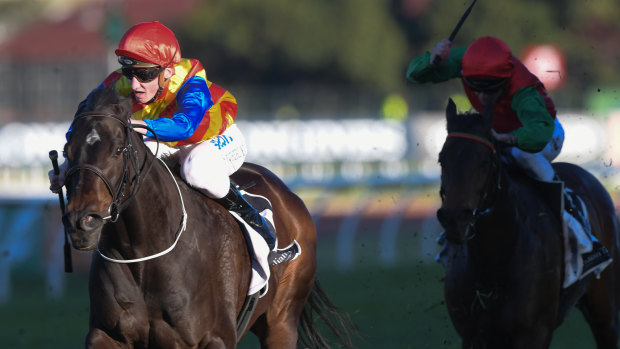 On target: Top Striker will be aimed for the Ramornie Handicap.