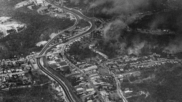 Springwood (looking back to Sydney) at the height of the fires, on November 28, 1968. 
