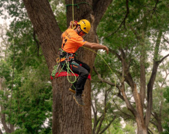 Hanging around: Barton Allen-Hall displays his rope skills at the 2023 world titles in Albuquerque.