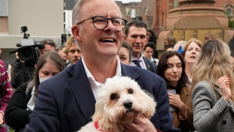Albanese accused of hypocrisy over $6m pork-barrelling claim