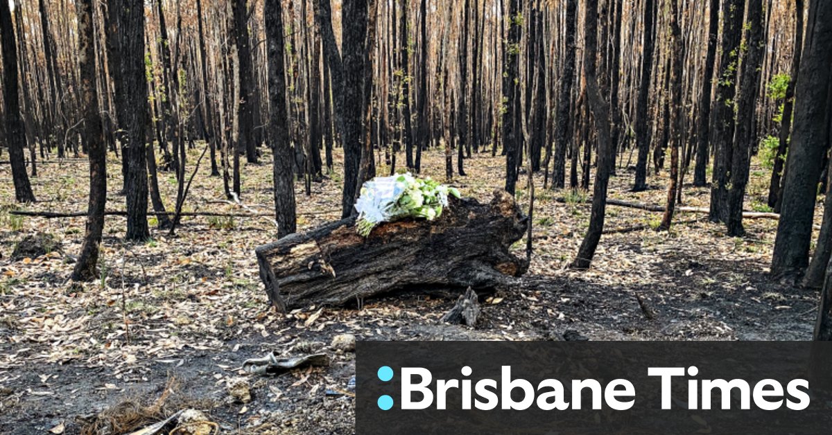 What women of Ballarat need to hear in wake of three deaths - Vimarsana News