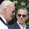 Joe Biden can be pardoned as a parent, but not as a politician