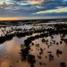 Flooding at Tenham Station, a beef and sheep enterprise amid the channel country in south-west Queensland.