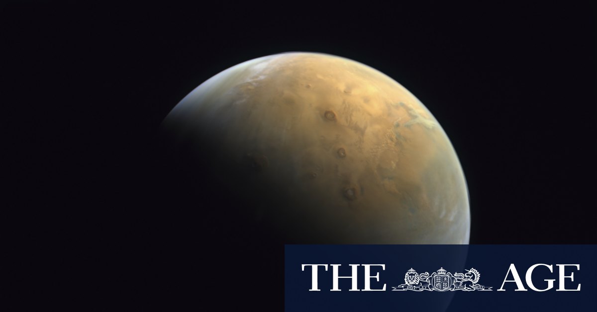Le “cellule zombie” indicano una vita più breve su Marte