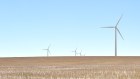 Decmil’s projects have included the Yandin wind farm in south-western Australia.