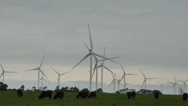 AGL's Macarthur Wind Farm in western Victoria.