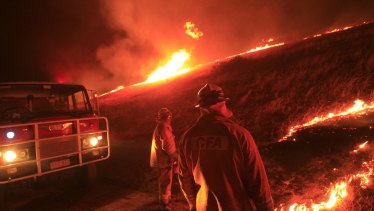 CFA members try to contain a fast moving fire near Beechworth.