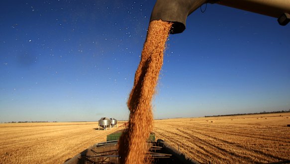 Farm exports are unusually reliant on shipping for perishable exports because air freight volumes are down 80 per cent with planes grounded.