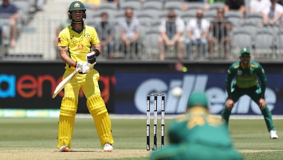 Spooned up: Glenn Maxwell looks on after delivering an easy catch to Heinrich Klaasen of South Africa.