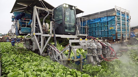 Harv the robot vs pickers in fight for the future of soft fruit farms