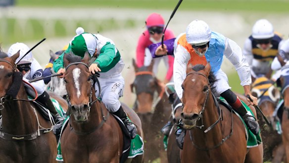 Hugh Bowman gets the best out of Montefilia (right) in a driving finish with Entente.