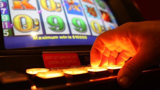 Northern Beaches Council has become the second municipality to adopt a harm minimisation policy on gambling. 