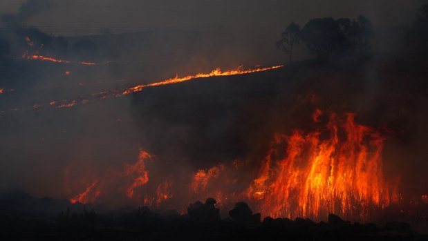 Black Summer: Fires jump the Monaro Highway outside Bredbo, near Cooma.