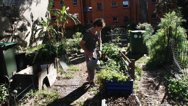 Convener Julie Moffat waters the Erskineville community garden, which may be replaced by affordable housing.