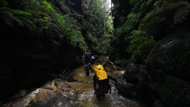 A summer of fires and floods has created difficulties for Blue Mountains' tour operators.