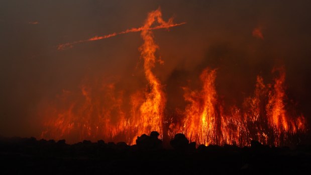 Australian Bushfires: Increasing Bushfire Risk Despite Wet Start To Summer