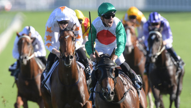 Top shelf: Josh Parr yells in delight after winning the Champagne Stakes on Castelvecchio.