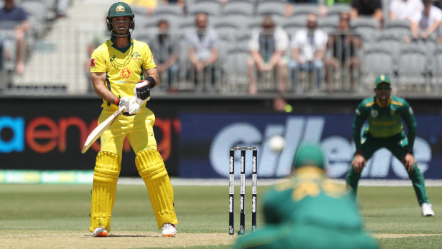 Spooned up: Glenn Maxwell looks on after delivering an easy catch to Heinrich Klaasen of South Africa.