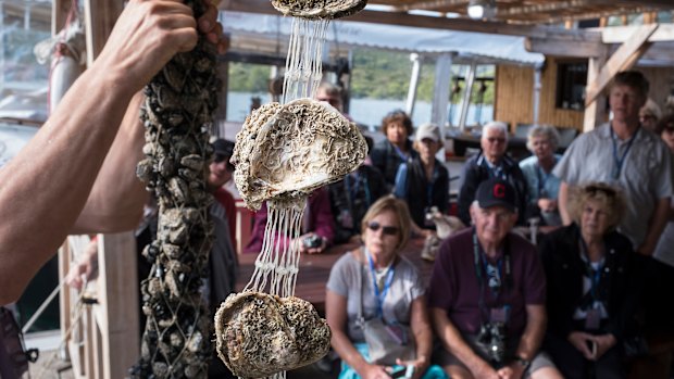 Tourists at an oyster farm in Mali Ston in October.