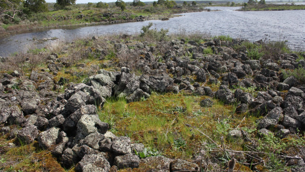 The remains of an ancient Indigenous stone house at Lake Condah, part of the Budj Bim landscape.