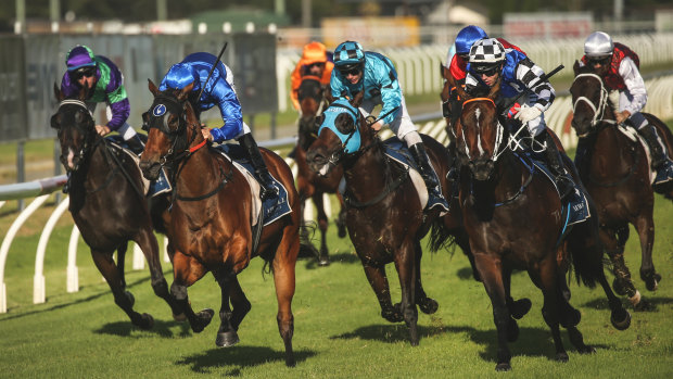 There are eight races scheduled for Newcastle.