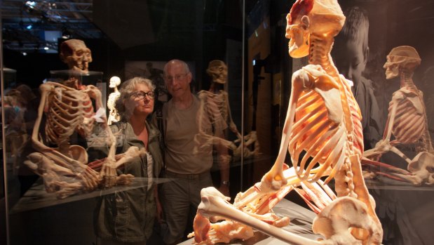 This human skeleton is part of the exhibition.  