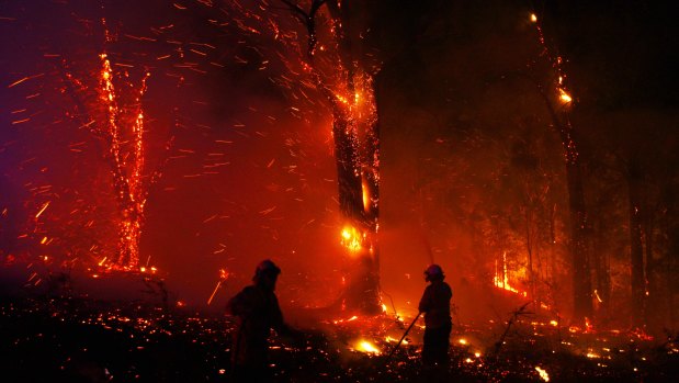 Firefighters face the Gospers Mountain fire on November 20.