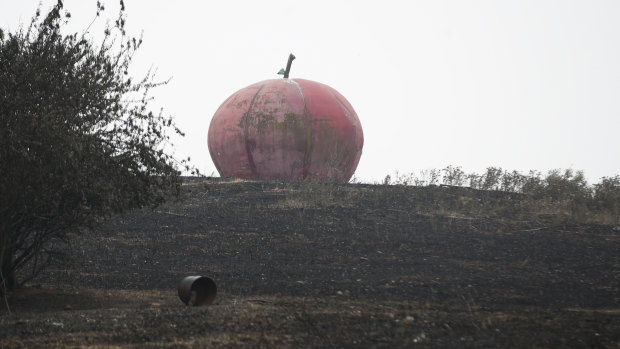 Batlow's iconic Big Apple in a scorched field after the bushfire.
