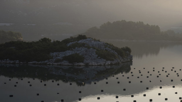 Plastic markers show oysters in Mali Ston Bay, on Croatia's Dalmatian coast.