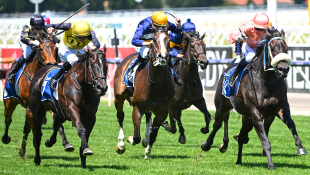 Blake Shinn on My Yankee Girl (yellow) was relegated to second behind Invincible Caviar (pink) for whip breaches after dead heating at Flemington.