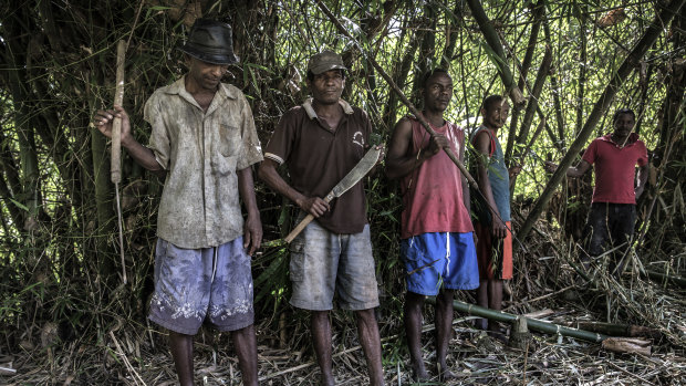 Men armed with fishing spears, clubs and machetes guard a vanilla plantation in Madagascar's north-eastern Sava region.