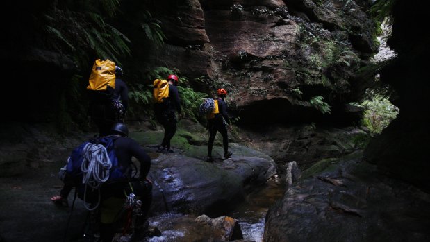 Adventure guides have struggled to find work because of the closure of large sections of the Blue Mountains World Heritage Area.