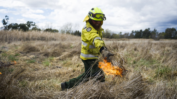 General field officer Brenton Webster spreads fire during a ACT Parks and Conservation  cultural and ecological burn at the Jerrabomberra Wetlands.