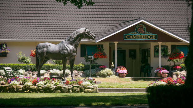 Vision: Jo and Brendan Lindsday bought Cambridge Stud in New Zealand a year ago.
