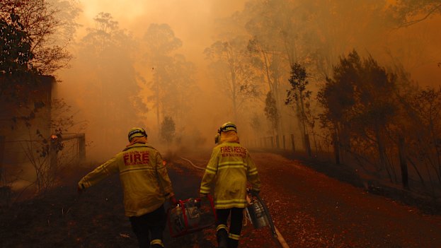 Firefighters north of Forster near the junction of the Pacific Highway on November 8.
