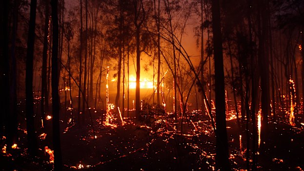 The Hillville fire on November 8.