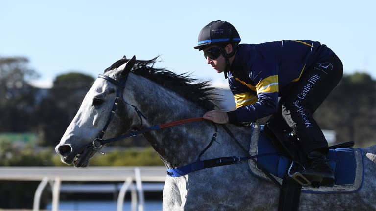 Nowhere fast: Chautauqua's barrier trial is the main fare at Rosehill on Saturday