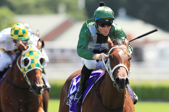 Tommy Berry steers a Chris Waller-trained horse to victory at Randwick in February.