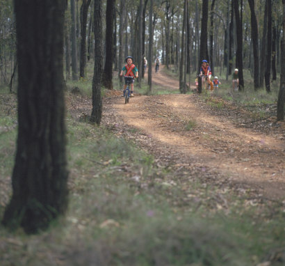 Parks Victoria closed 21 trails through Chiltern-Mount Pilot National Park over safety concerns.
