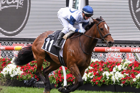 Miami Bound won the Moonee Valley Gold Cup last spring.
