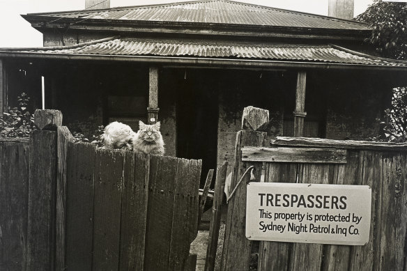 David Beal’s <i>Old woman and cat</i>, Sydney 1963.