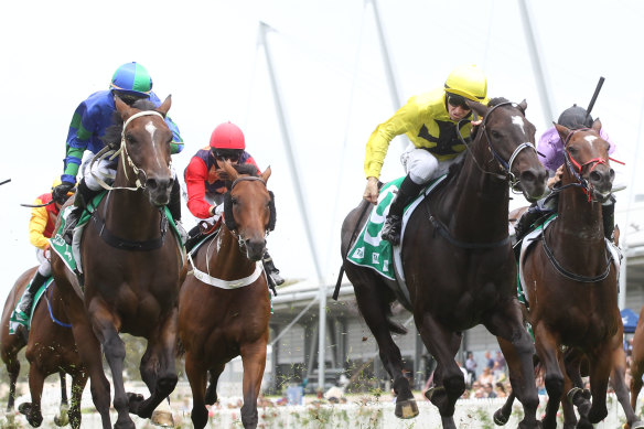 Jason Collett (yellow silks) rides Bella Rouge to victory at Rosehill.