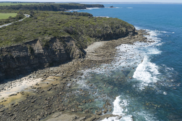 Twin Reefs fossil site in Bunurong Coastal Reserve, where some of the fossils were found.