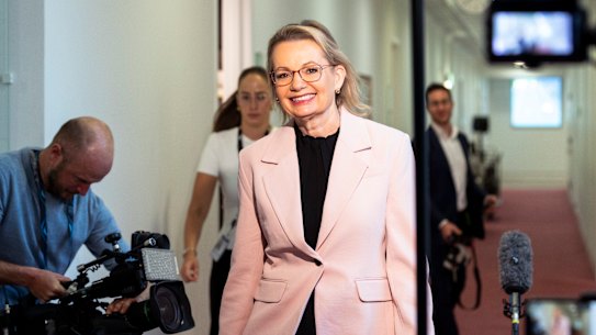 Leader of the Opposition Sussan Ley.