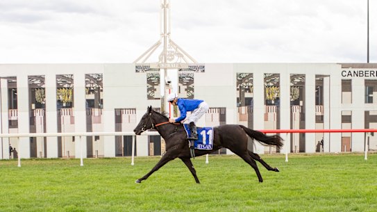 Jason Collett and Pin Sec cruised to victory in the Black Opal Stakes.
