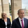 Roger Cook rubber-stamped as WA’s next premier while McGowan says goodbye