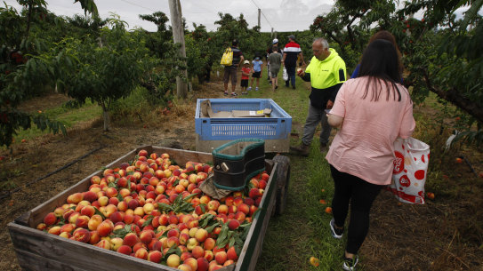 Farmers are backing calls to cut income tax on pensioners earnings to encourage them to re-enter the rural workforce.